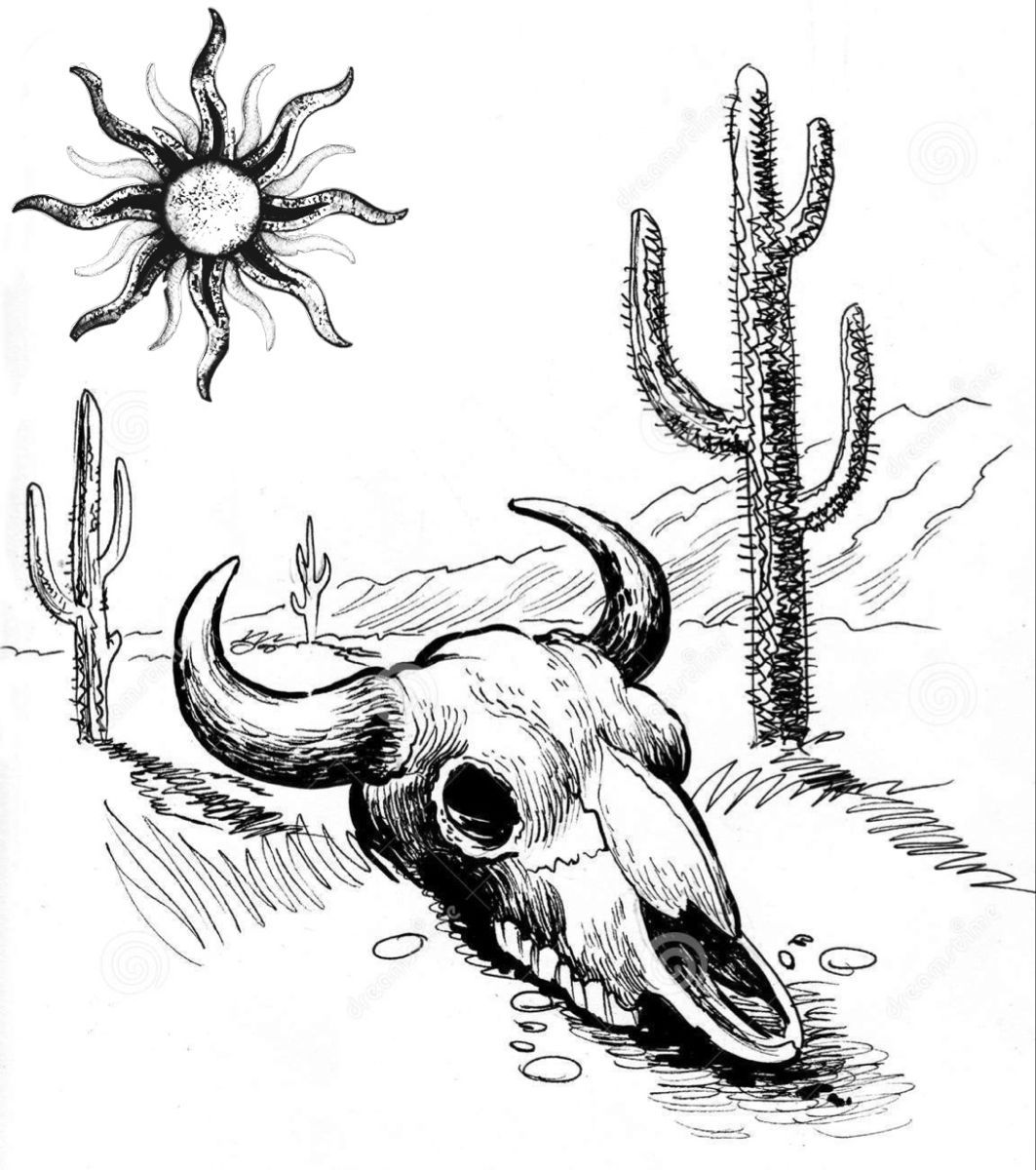 Cow Skull Drawing