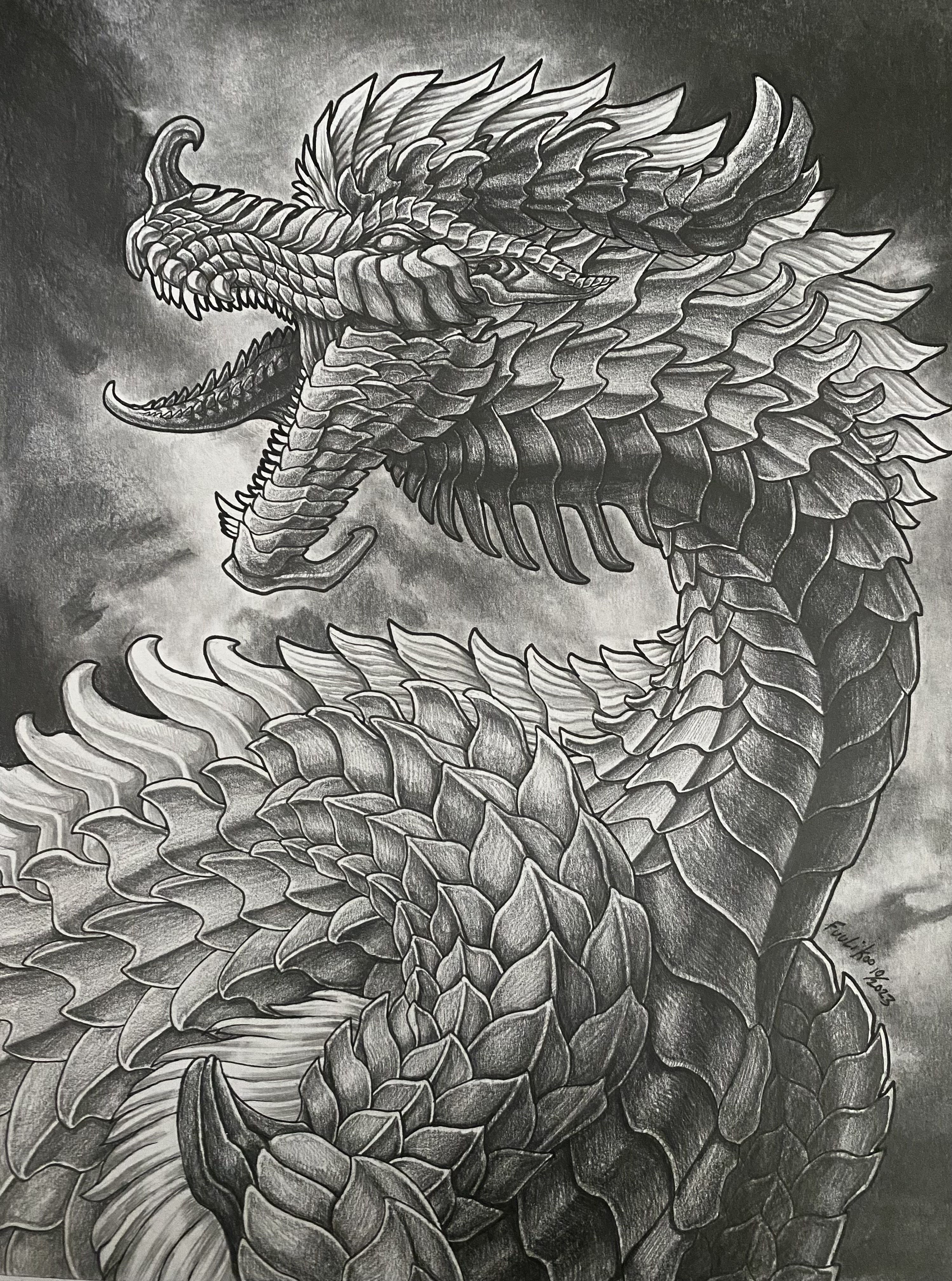 Dragon Drawing Real